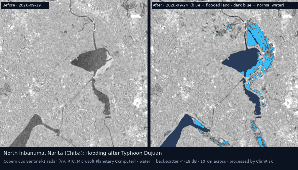 Sentinel-1 radar before (19 Sep) and after (24 Sep 2026) around North Inbanuma, Chiba — blue marks land that became water; dark blue is the lake and rivers as normal. Contains modified Copernicus Sentinel-1 data (2026).